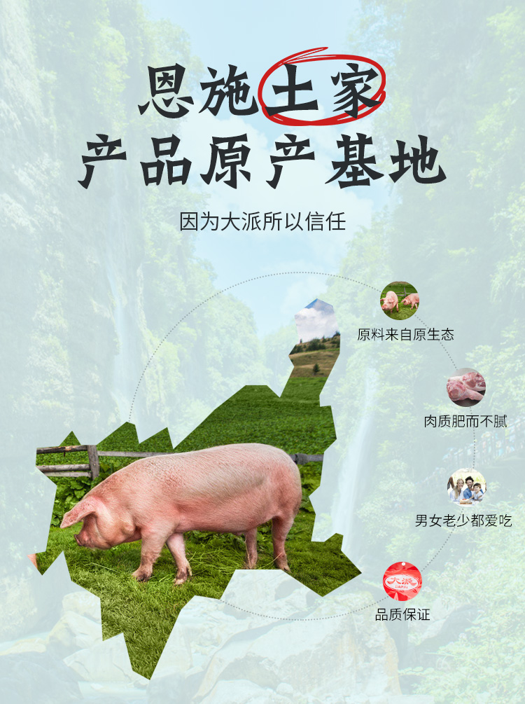 恩施土家特產 大派食品 真空裝農家自制宣恩火腿心精華切塊500g